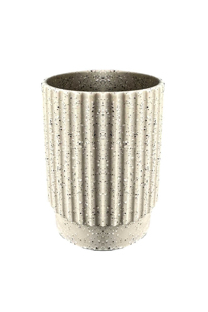 علبة فراشي اسنان DORIC