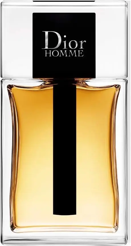DIOR HOMME EDT 100 ML