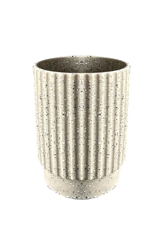 [ANS20942] علبة فراشي اسنان DORIC